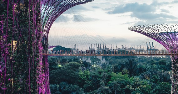 Sustainable Cities and Communities: Lessons from Madagascar, Ecuador, Singapore and the UK