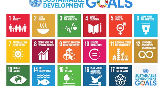Want to help UN SGD implementation and a give your contribution? Check My World 2030!